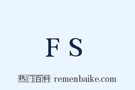 FS是什么意思的图片